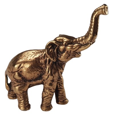 Слоник индийский 21458