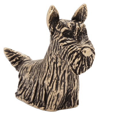 Шотландский терьер 22398