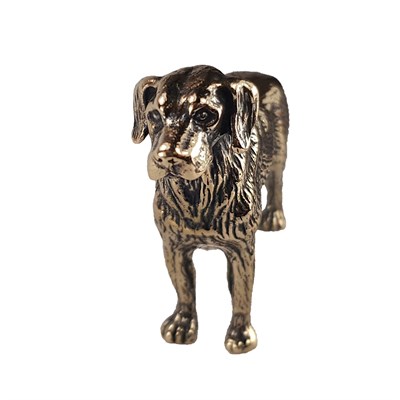 Лабрадор 21420