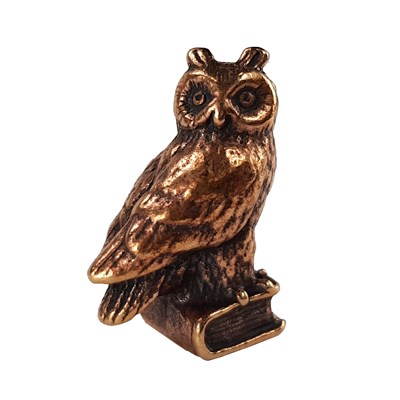 Сова на книге 21423