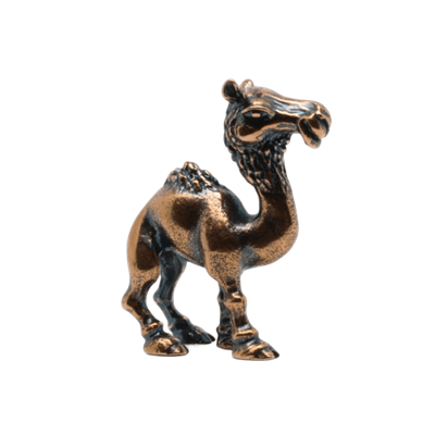 Верблюд 23295