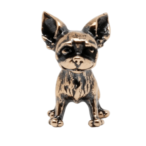 Чихуахуа 23535