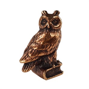 Сова на книге 21423