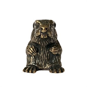 Бобёр средний 22067