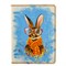 12 Кролик (шарф, очки) - фото 7963